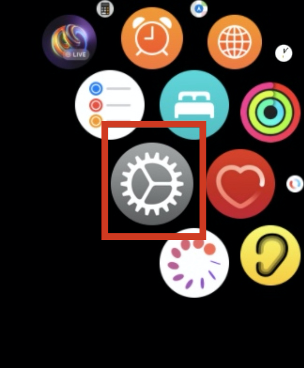 how-to-set-live-photo-on-apple-watch-watch-face